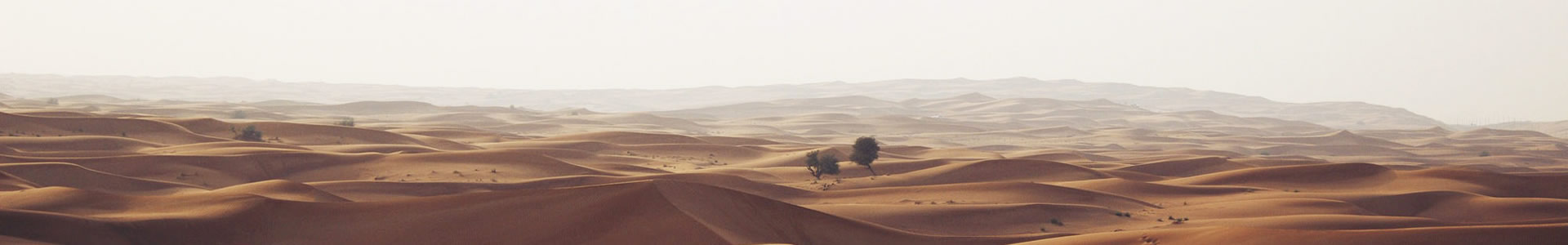 سƼ޹˾
